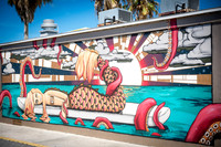 St-Pete-Beach-FL-0206.jpg