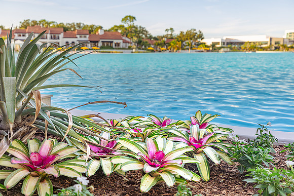 20241016-Evermore-Resort-Orlando-3263-