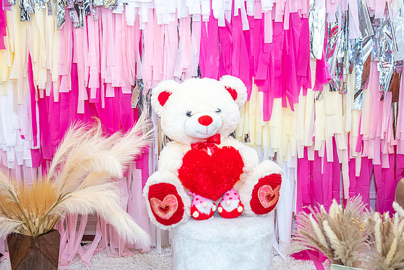 -Valentine-session-backgroung