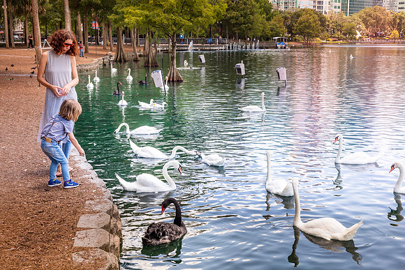 Lake-Eola-Orlando-3567.jpg