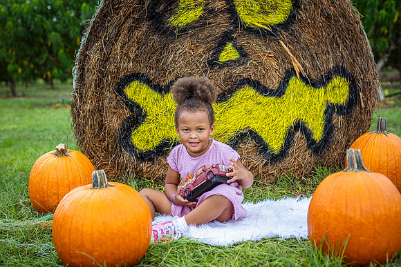 Fall-Fest-Southern-Hill-Farms-7254S