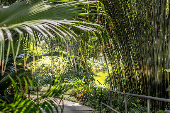 Leu Gardens Orlando