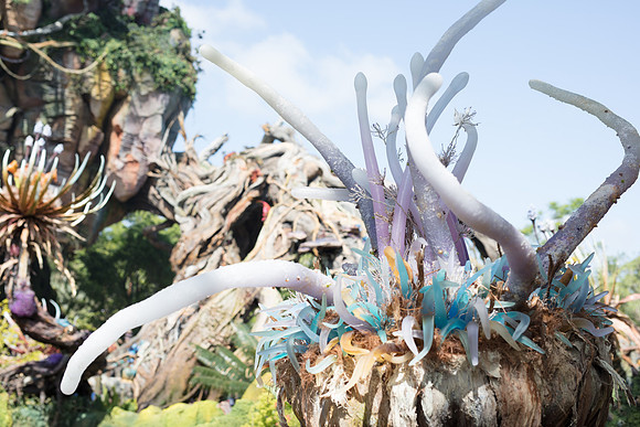 Pandora-Disney-Animal-Kingdom-2778.jpg