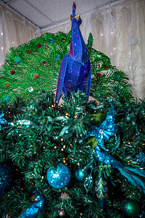 Celebration-Holiday-Home-Tour-2022-Stop1-851-Celebration-Ave-Town-Hall-6882