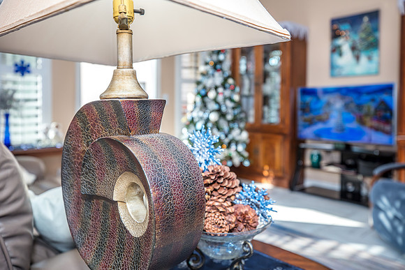 Celebration-Holiday-Home-Tour-2022_Stop5-1204-Downey-Pl-7174