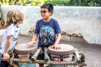 Disney's Animal Kingdom