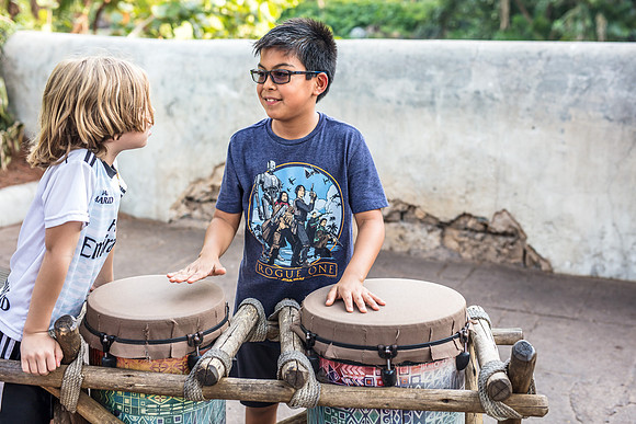 Disney's Animal Kingdom