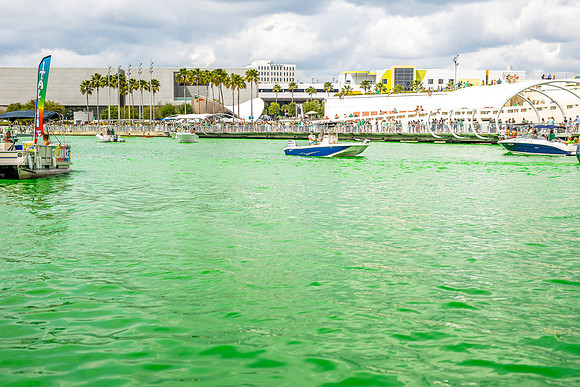 St-Patrick-Day-2019-Green-River-Fest-Tampa-8546