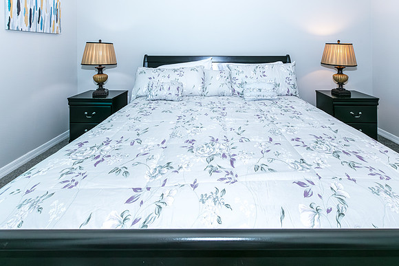 20251018-3245-Cupid-Pl-Kissimmee-3441