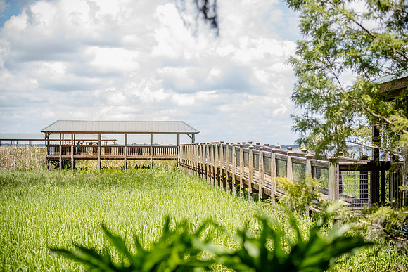 Wild Florida Airboats & Gator Park