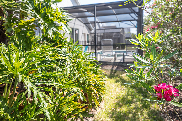20240506-Real-Estate-Airbnb_16700-Glenbrook-blvd-Clermont-9669