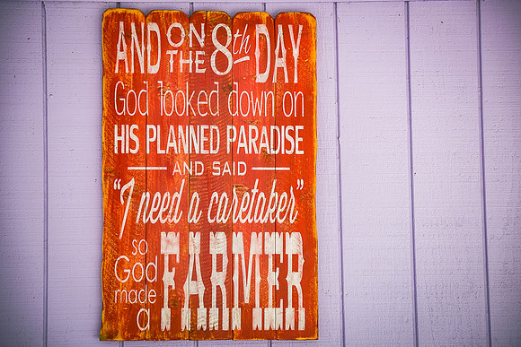 Green-Meadows-Farm-9189.jpg