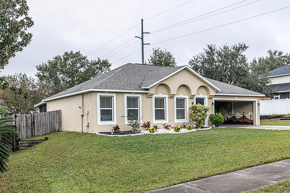 20251208-9526-Water Fern-Cir-Clermont-0688