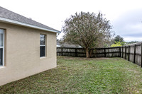 20251208-9526-Water Fern-Cir-Clermont-0696