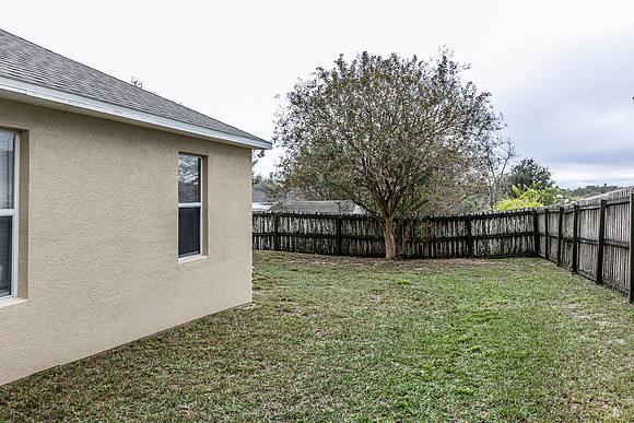 20251208-9526-Water Fern-Cir-Clermont-0696