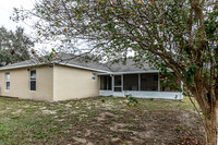 20251208-9526-Water Fern-Cir-Clermont-0692
