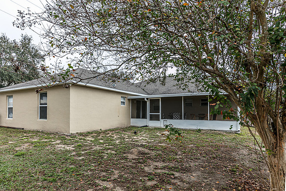 20251208-9526-Water Fern-Cir-Clermont-0692