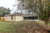 20251208-9526-Water Fern-Cir-Clermont-0693