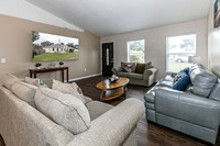 20251208-9526-Water Fern-Cir-Clermont-0709