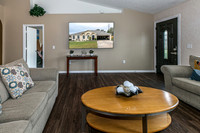 20251208-9526-Water Fern-Cir-Clermont-0713