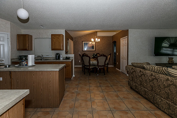 20251208-9526-Water Fern-Cir-Clermont-0740