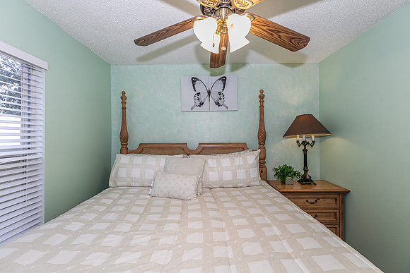 20251208-9526-Water Fern-Cir-Clermont-0777