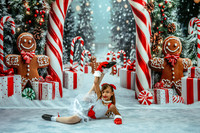 20251206-Dance-Station-Studios-Christmas-Portraits-2724