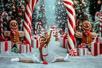 20251206-Dance-Station-Studios-Christmas-Portraits-2743-