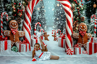 20251206-Dance-Station-Studios-Christmas-Portraits-2748