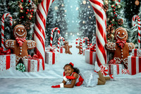 20251206-Dance-Station-Studios-Christmas-Portraits-2788