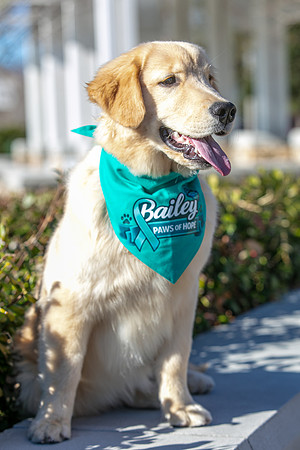 20260221-Bailey-Paws-of-Hope-5832