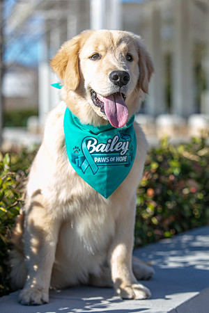20260221-Bailey-Paws-of-Hope-5834-