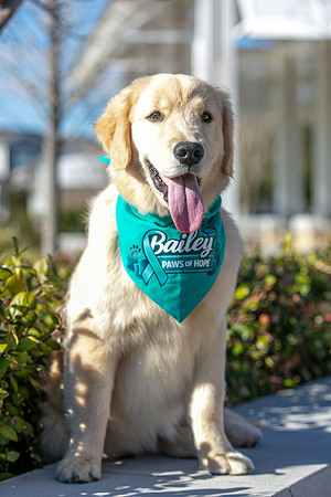 20260221-Bailey-Paws-of-Hope-5839