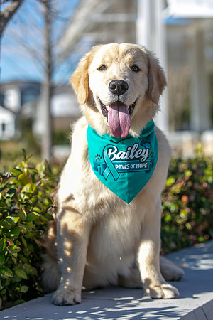 20260221-Bailey-Paws-of-Hope-5837-