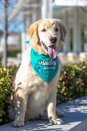 20260221-Bailey-Paws-of-Hope-5835