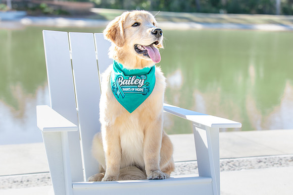 20260221-Bailey-Paws-of-Hope-5844-