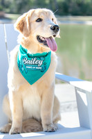 20260221-Bailey-Paws-of-Hope-5841-
