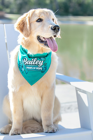 20260221-Bailey-Paws-of-Hope-5841-