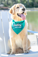 20260221-Bailey-Paws-of-Hope-5842
