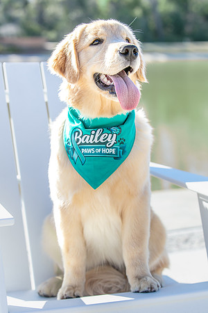 20260221-Bailey-Paws-of-Hope-5842