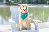 20260221-Bailey-Paws-of-Hope-5845