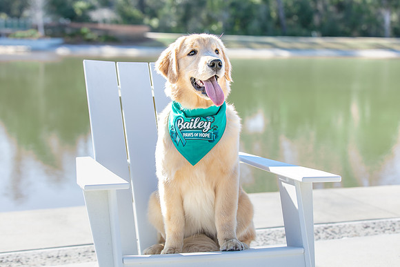 20260221-Bailey-Paws-of-Hope-5845