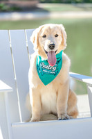 20260221-Bailey-Paws-of-Hope-5850