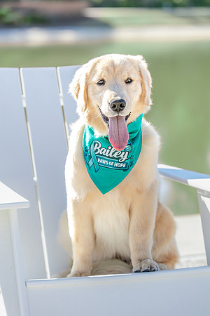 20260221-Bailey-Paws-of-Hope-5850
