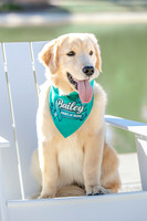 20260221-Bailey-Paws-of-Hope-5851