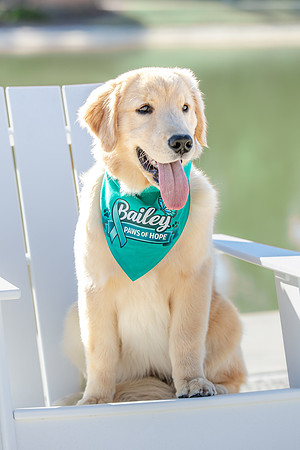 20260221-Bailey-Paws-of-Hope-5851