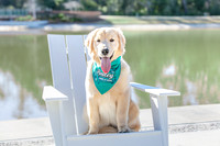 20260221-Bailey-Paws-of-Hope-5849