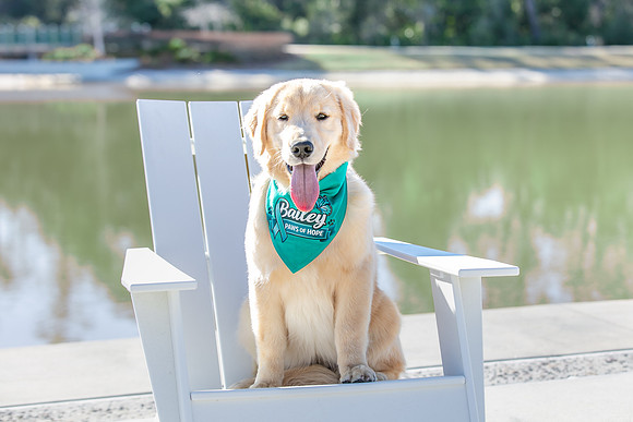 20260221-Bailey-Paws-of-Hope-5849