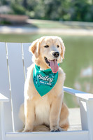 20260221-Bailey-Paws-of-Hope-5855