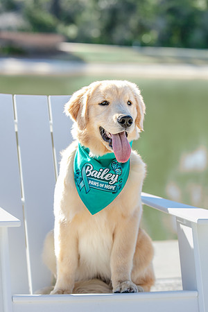 20260221-Bailey-Paws-of-Hope-5855